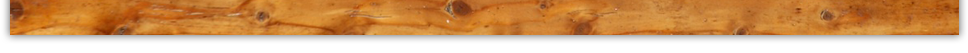 bottom plank